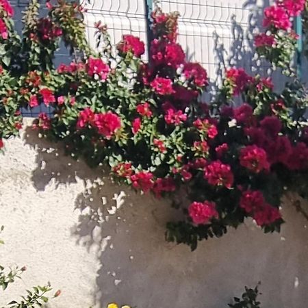 Vila Megi-Rent Room Vlorë 외부 사진