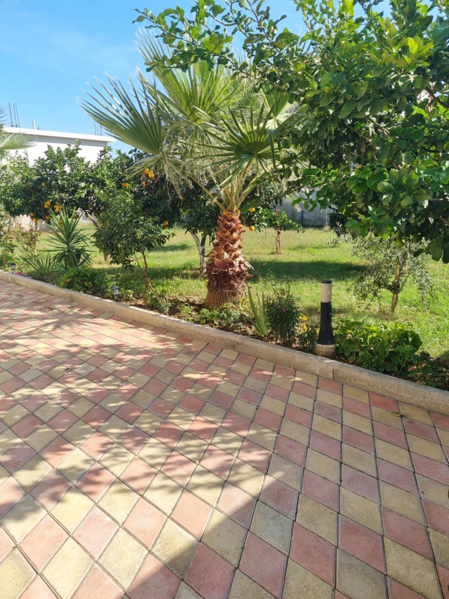Vila Megi-Rent Room Vlorë 외부 사진